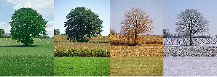 前《寂静岭》编剧：《寂静岭2：重制版》将让玩家失望