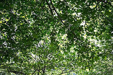 《战争之眼》1.0现已正式上线：战略与动作的创新融合，开启全新游戏体验