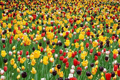 《街头霸王6》Switch 2分析 分辨率从540p提升到1080P